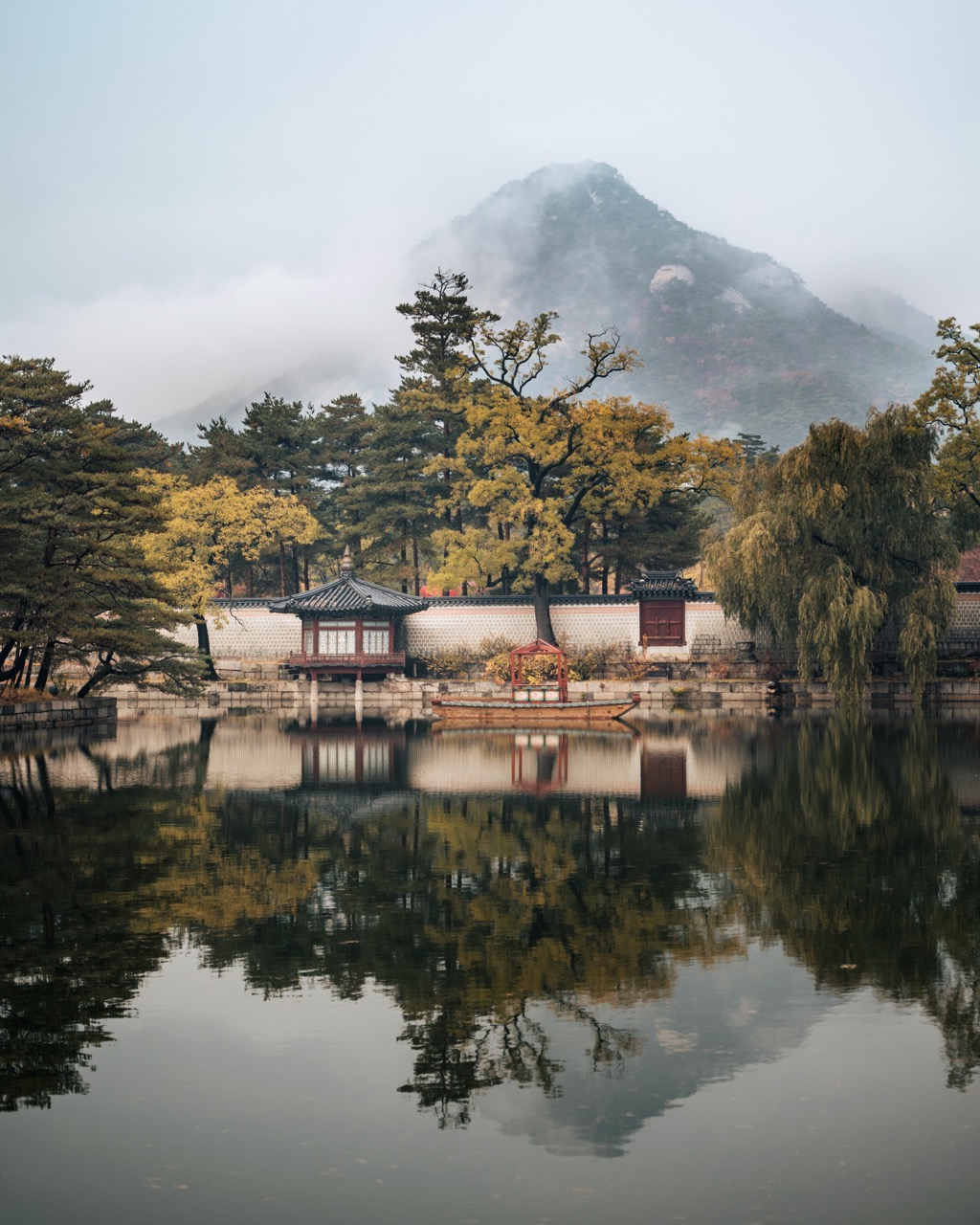 韓国における大麻の合法化の現状と将来展望