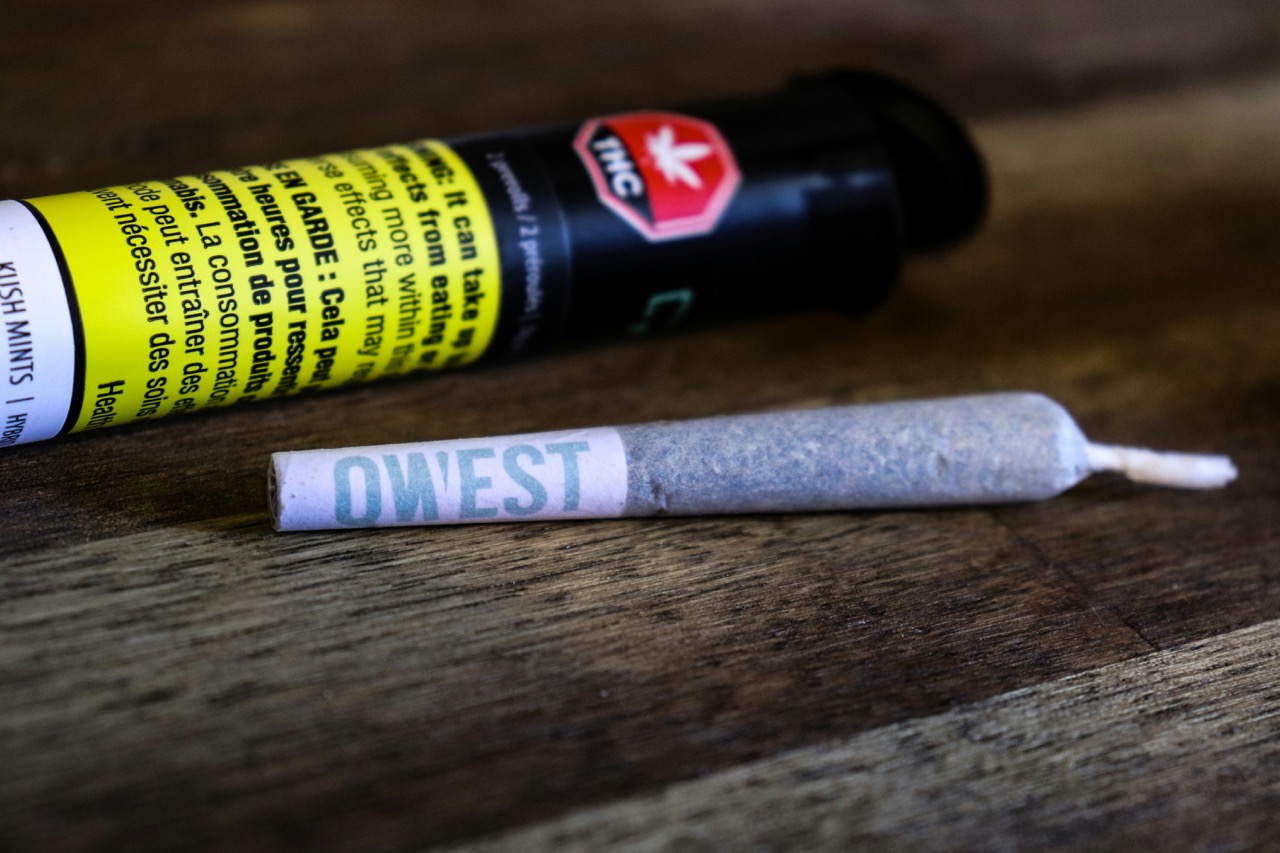 CBDリッチな大麻品種の王者ハーレクイン